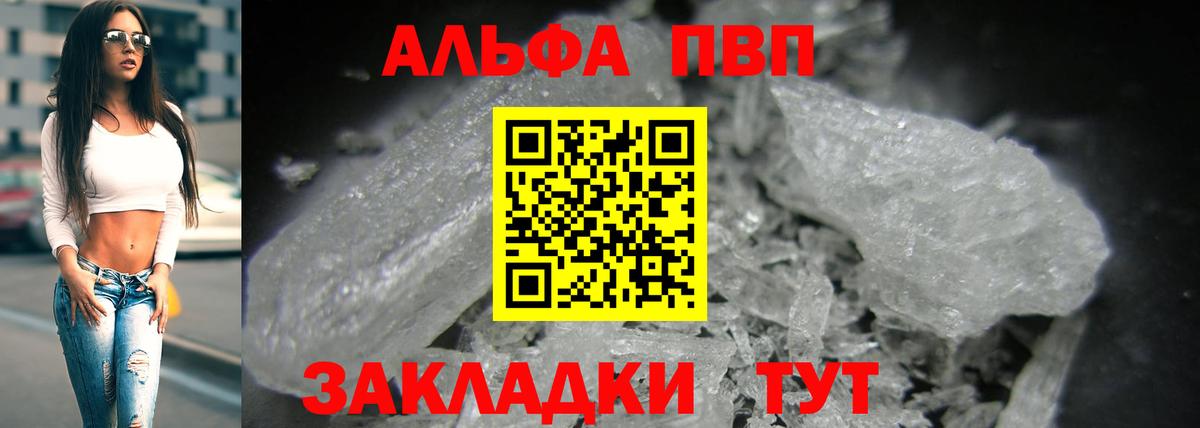 Альфа ПВП СК Сокол