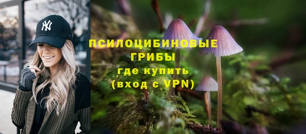 прущие крисы Осинники