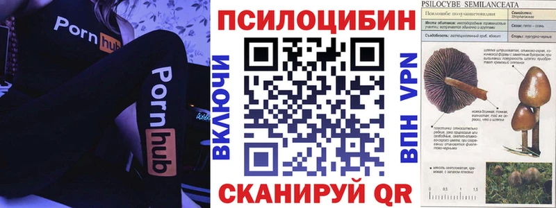 Галлюциногенные грибы MAGIC MUSHROOMS  продажа наркотиков  Сокол 