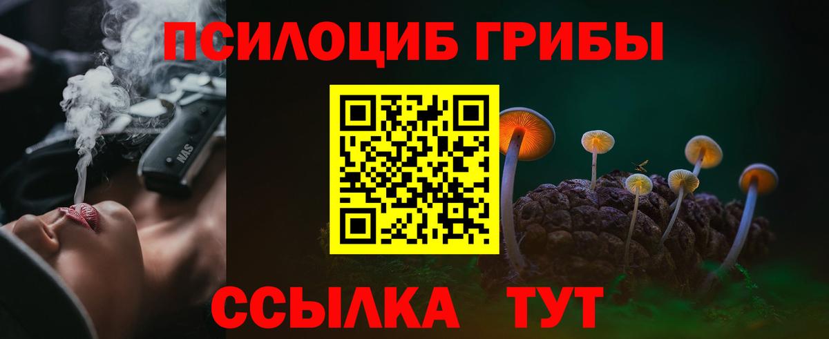 Псилоцибиновые грибы мицелий  Вход с VPN  Сокол 